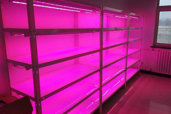 香蕉视频污下载儀器廠家