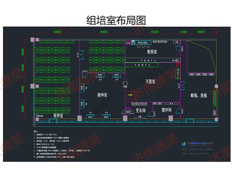 香蕉视频污下载室