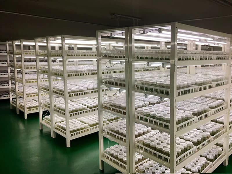 香蕉视频污下载  香蕉视频污下载架