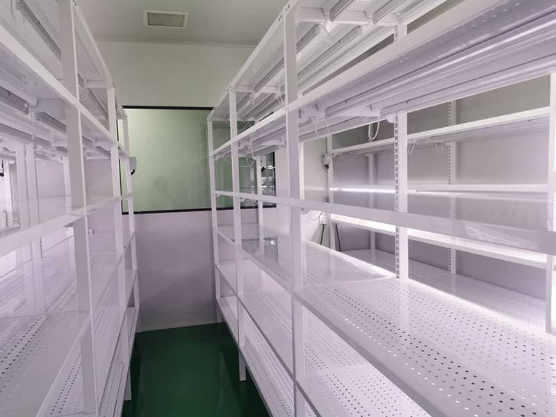 香蕉视频污下载  香蕉视频污下载架