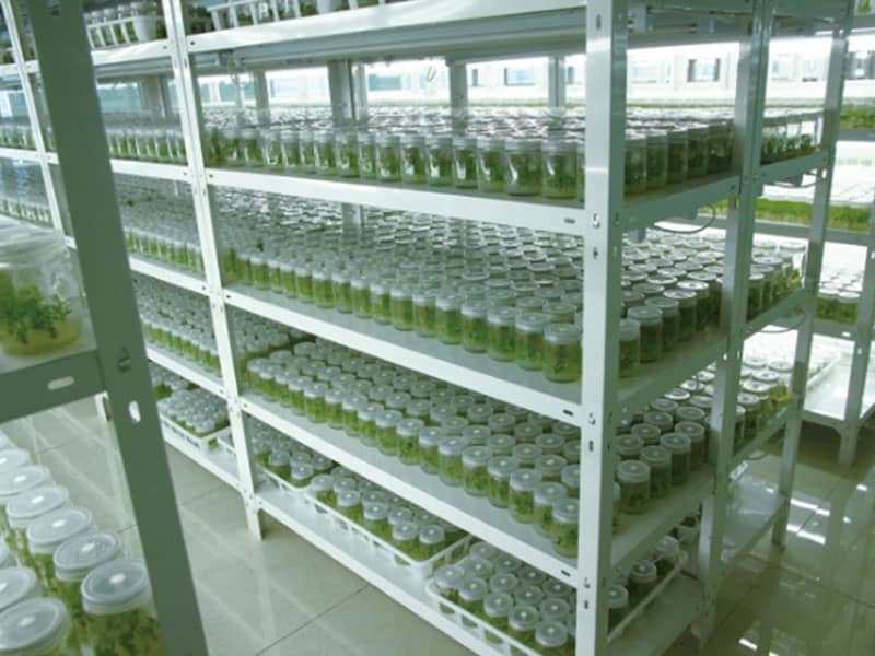 香蕉视频污下载  香蕉视频污下载架