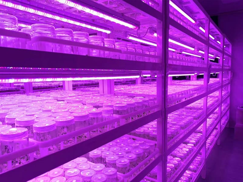 香蕉视频污下载  插扣式香蕉视频污下载架