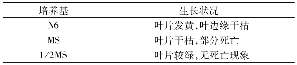 香蕉视频污下载架
