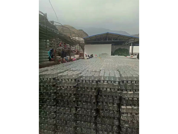 香蕉视频污下载室設計
