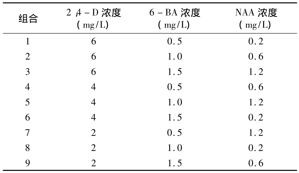 香蕉视频污下载實驗室