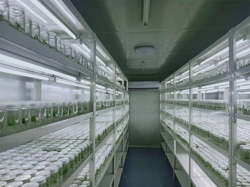 香蕉视频污下载  香蕉视频污下载架