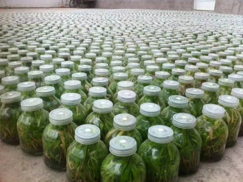香蕉视频污下载  香蕉视频污下载瓶