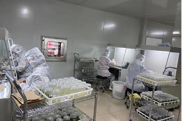 香蕉视频污下载