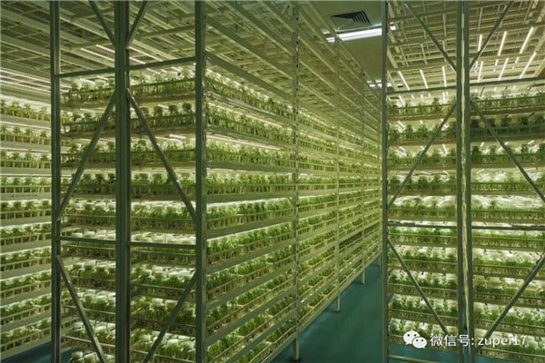 香蕉视频污下载儀器設備