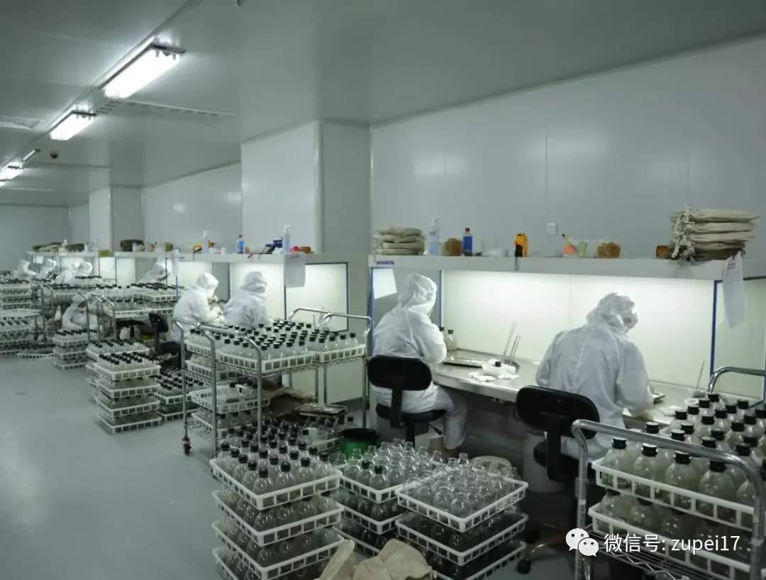 香蕉视频污下载